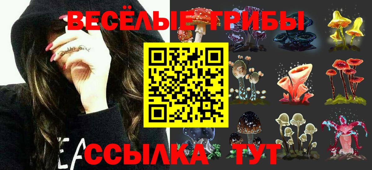 Приморско-Ахтарск  Галлюциногенные грибы Psilocybe  Вход с VPN 