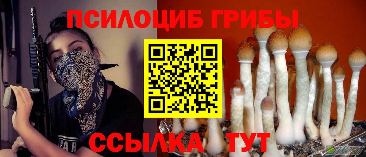 Псилоцибиновые грибы мицелий Приморско-Ахтарск